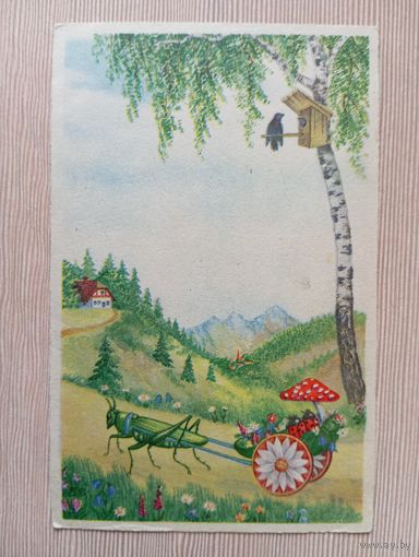 О-3. ЧИСТАЯ ОТКРЫТКА. КУЗНЕЧИК ИЗВОЗЧИК.