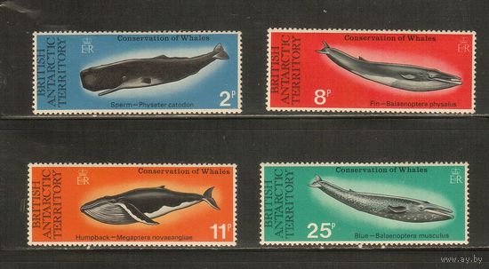 БАТ(Британская Антарктическая Территория)-1977 (Мих.64-67) , ** , Морская фауна,Киты(полная серия)