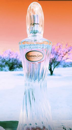 Heaven Sent Dana edp 100 мл оригинал духи из Америки