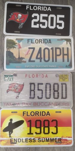 Автономер сша флорида