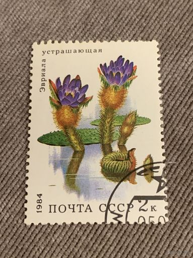 СССР 1984. Эвриала устрашающая. Марка из серии