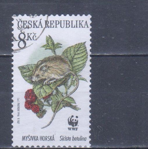 [943] Чехия 1996. Фауна.Лесная мышовка. Концовка серии.Гашеная марка.