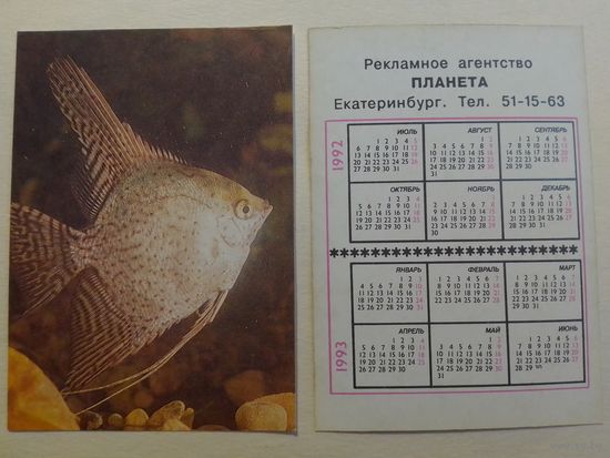 Карманный календарик. Аквариумные рыбы.1992 год