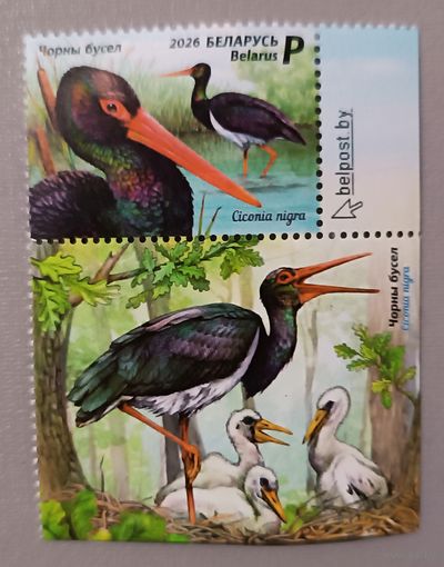 Черный аист. Серия из 1 марки с купоном, 2026