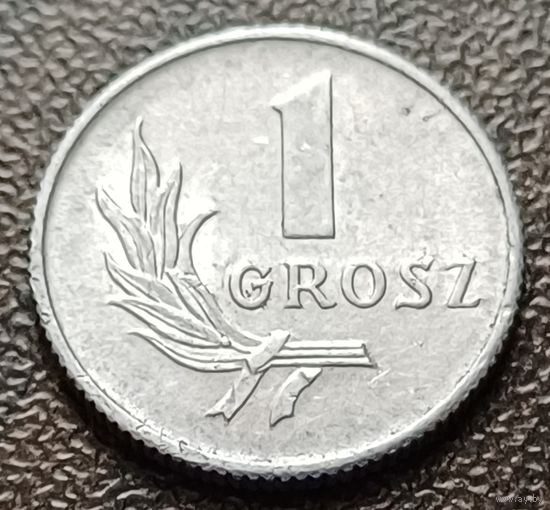 Польша 1 грош, 1949    ( 1-3-2 )