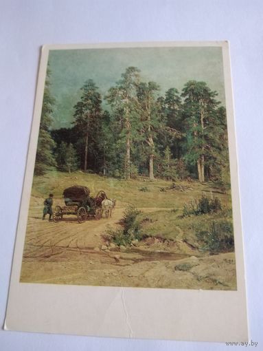 Открытка 1977г. И. Шишкин. Полесье.