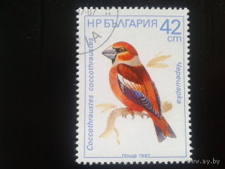 Болгария 1987 птица