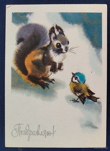 Каневский В. Поздравляю. 1985 г. Мини. Чистая