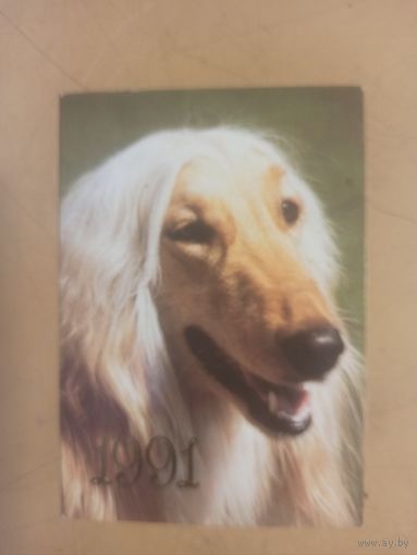 Календарь 1991 Афганская борзая