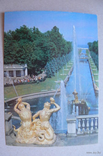 Рязанцев А.(фото), Петродворец (3), 1979, 1980, чистая.