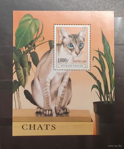 Того. 1997 год. Фауна. Кошки. Блок (613)