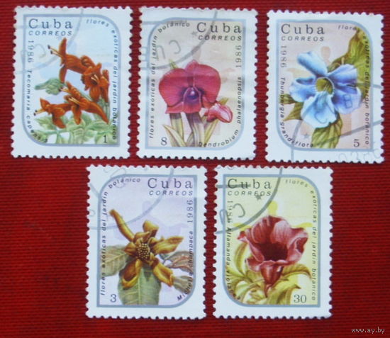 Куба. Цветы. ( 5 марок ) 1986 года. 8-16.