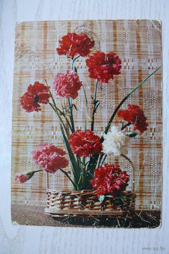 Папикьян Р., Композиция из гвоздик, 1977, подписана.