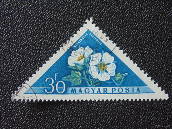 Венгрия. Флора.
