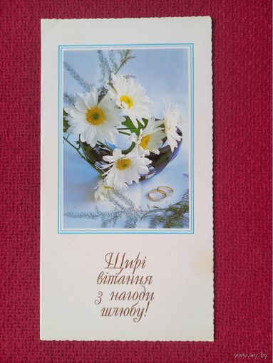 Сердечное Поздравление по случаю Свадьбы! Артек 1995 г. Двойная. Кр1.