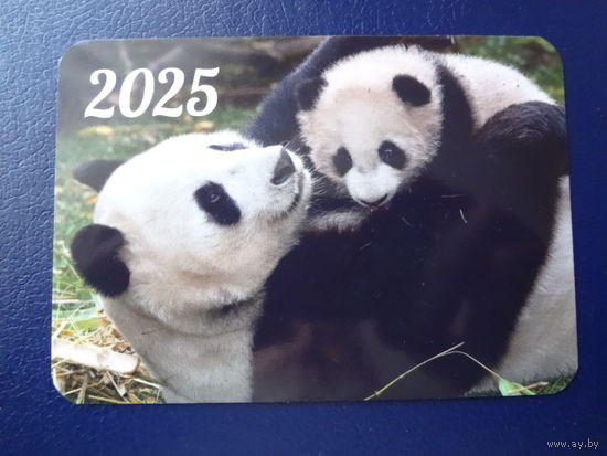 Календарик 2025 г.  Панды.