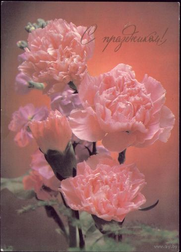 1988 год Э.Стейнерт С праздником!