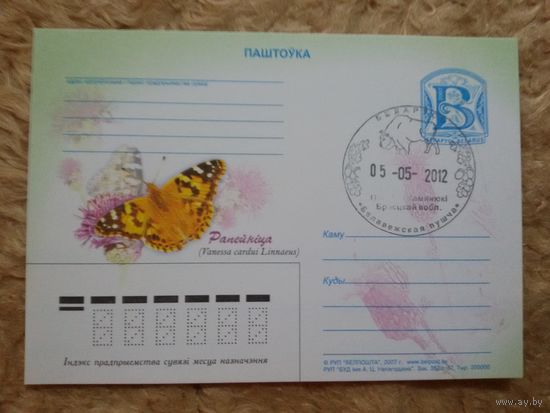 СГ Беларусь. 2012. Беловежская пуща. Бабочка