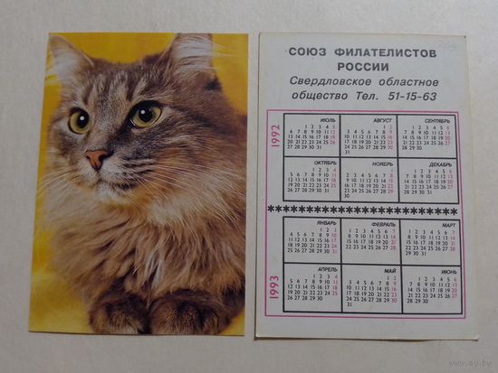 Карманный календарик. Котик.1992 год