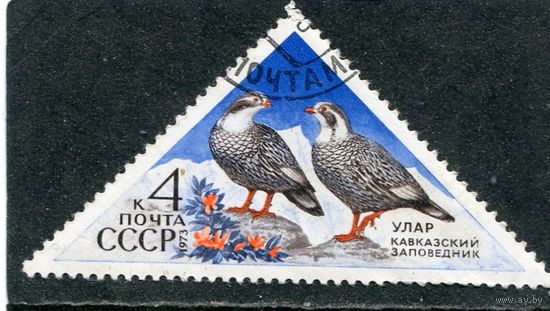 СССР 1973.. Заповедник. Улар (горная индейка)