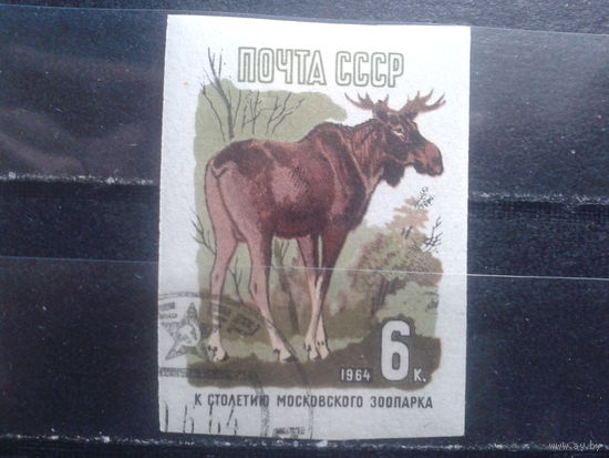 1964 Лось без перф.