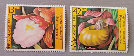 Орхидеи. Болгария, 1986