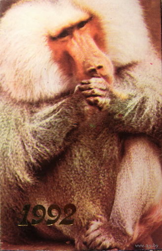 Календарики Обезьяны