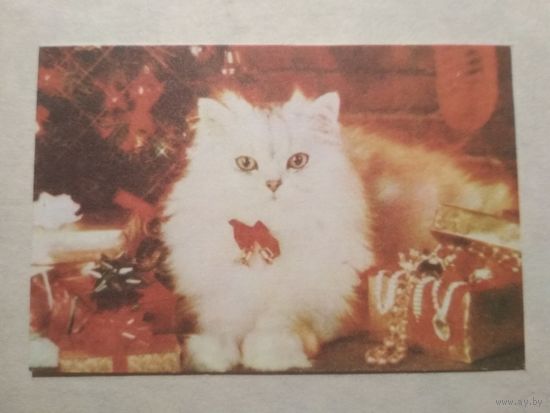 Карманный календарик. Котик. 1993 год