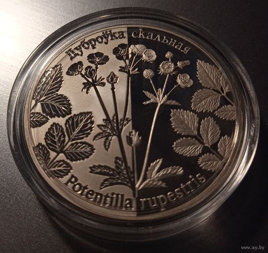Дуброўка скальная (Лапчатка скальная).1 рубль.
