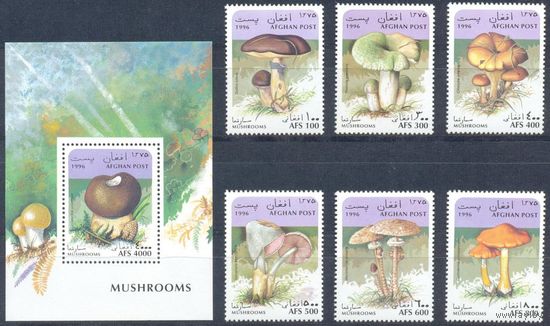 Афганистан 1996 Грибы, 6 м. + бл.
