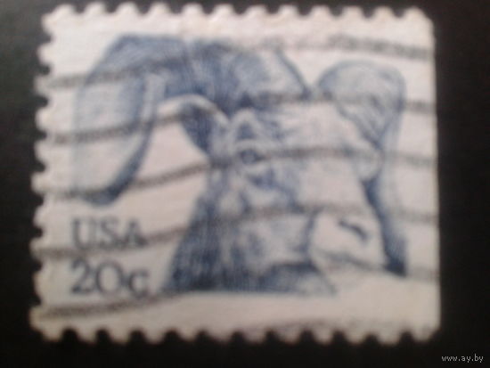 США 1982 стандарт, козел