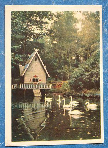 Гомель. Сажалка у парку культуры. 1960 г. Чыстая.