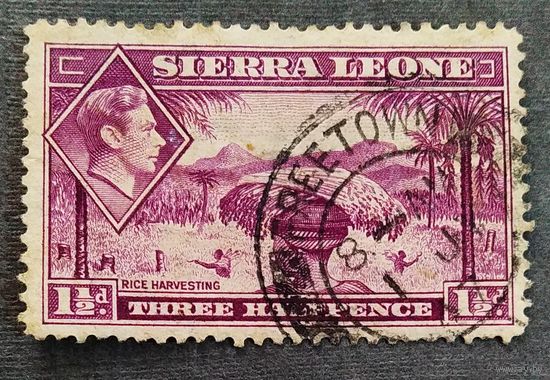 Марка Сьерра-Леоне 1938 год Сбор урожая риса