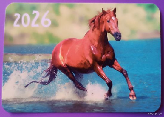 Лошадь. Календарик, глянец, 2026. Траско