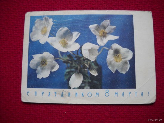 С Праздником 8 марта! Дергилева. 1968 г.