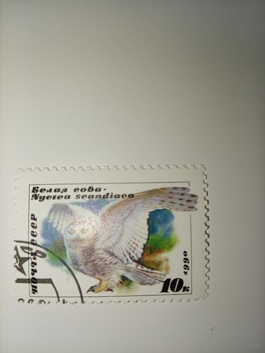 СССР, 1990, СОВЫ, Белая сова