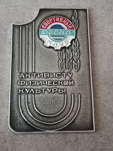 Спортивный клуб Десна. Активисту физической культуры