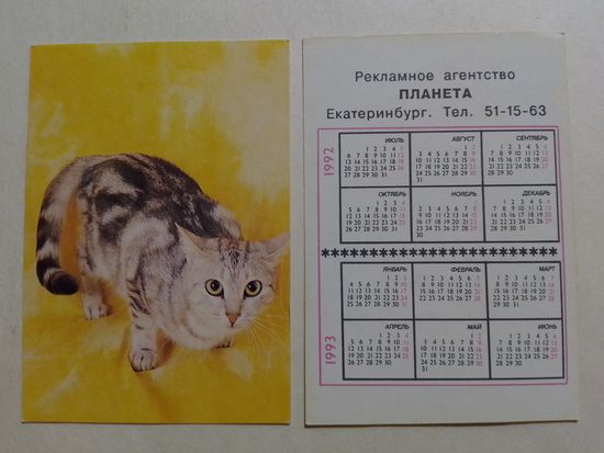 Карманный календарик. Котик.1992 год