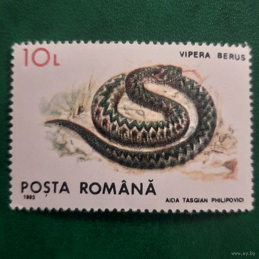 Румыния 1993. Фауна. Змеи. Vipera Berus