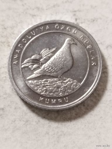 Турция 1 куруш "Европейская кольчатая горлица" 2020