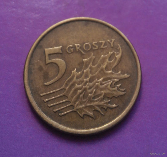 5 грошей 1991 Польша #08