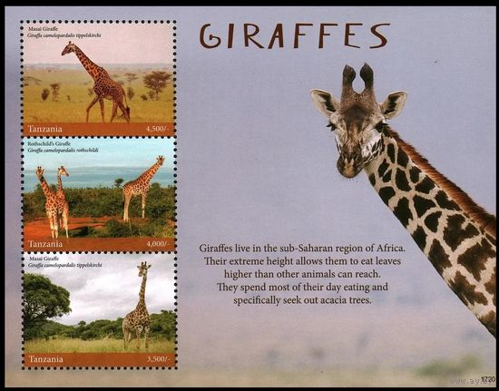 2017 Танзания 5392-5394KL Фата - Жираф 18,00 евро