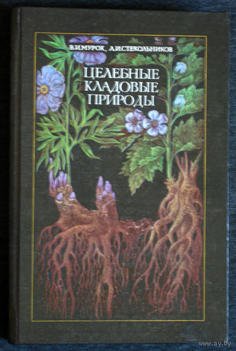 В.И.Мурок Л.И.Стекольников Целебные кладовые природы.