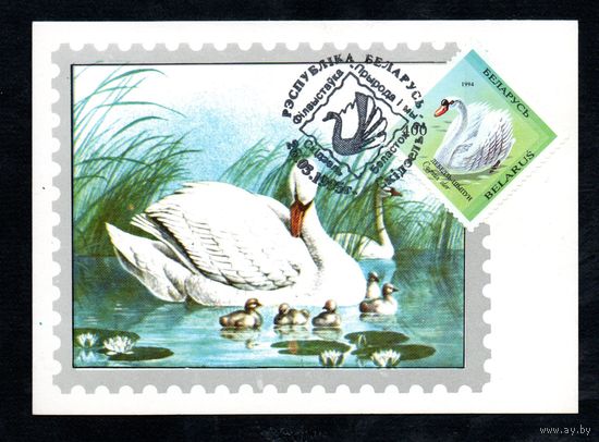 Филвыставка "Природа и мы" Беларусь 1995 год 1 картмаксимум
