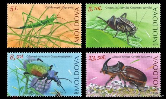 Молдова Moldova 2024, (903) Фауна. Насекомые. Жуки. Fauna. Insects, 4 марки **