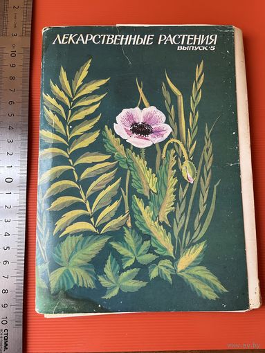 Лекарственные растения. Выпуск 5. 1987 год. 32 открытки