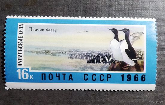 Марка СССР 1966 год Дальний Восток