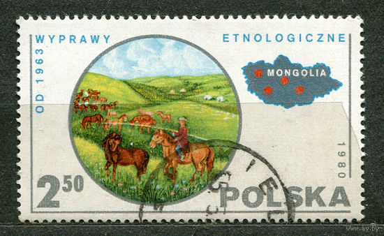 Энтологические исследования в Монголии. Польша. 1980