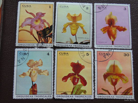 Куба 1972 г. Цветы.