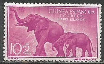 Испанская Гвинея. Слоны. 1957г. Mi#334.
